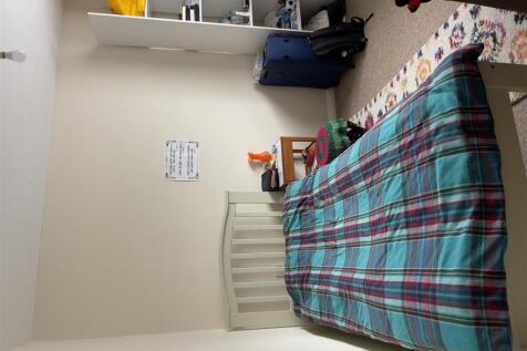 IMG_5733.jpeg
