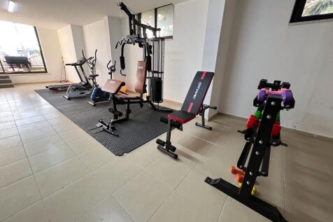 Property Image 14