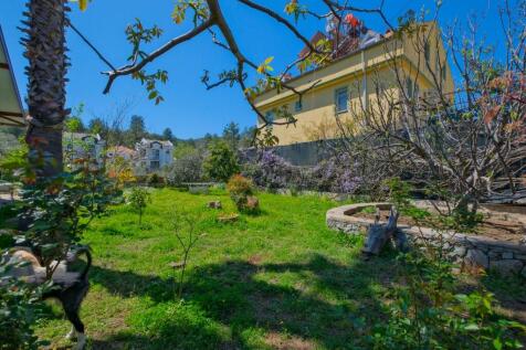 Property Image 8
