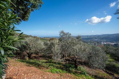 Property Image 66