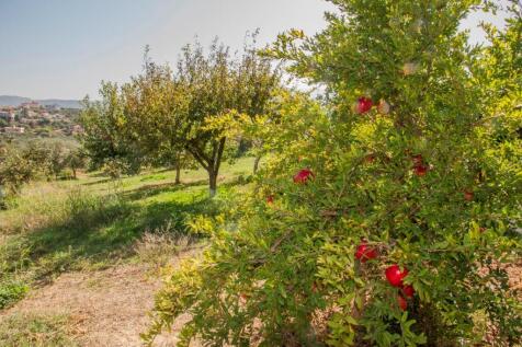 Property Image 50