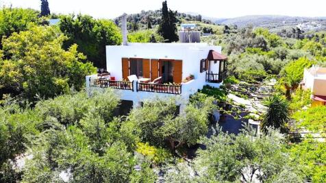 Property Image 26