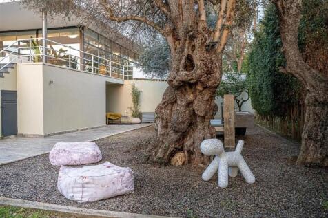Property Image 38