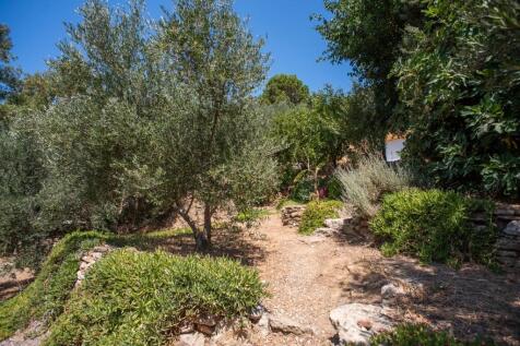 Property Image 58