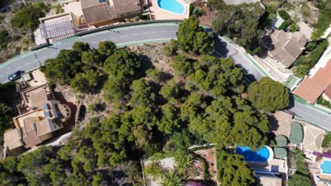 Property Image 11