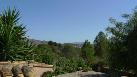 Property Image 39