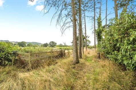Strip Of Land