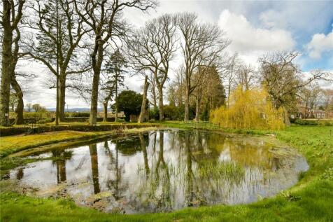 Pond