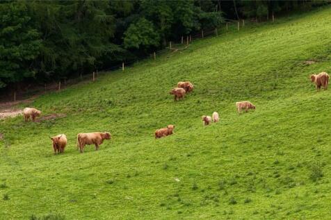 Blairmore Farm