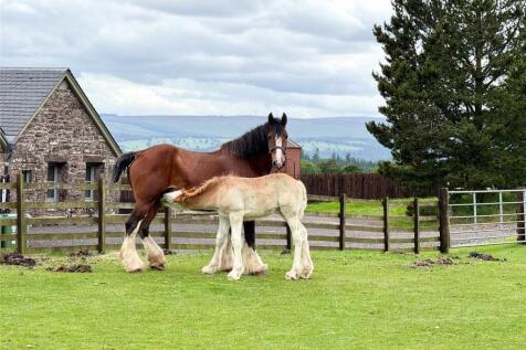 Blairmore Farm