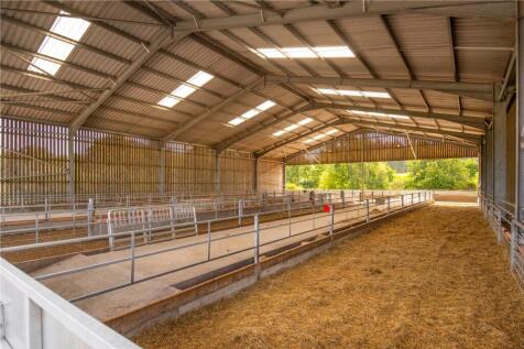Sheep Shed