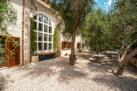 Garden with old tree population