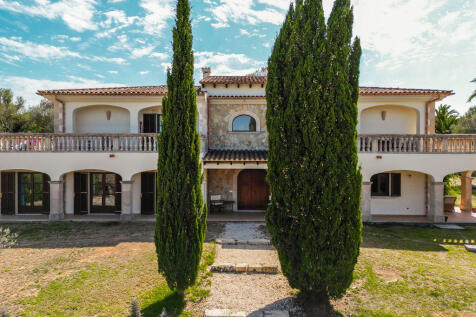 Front view with old tree population