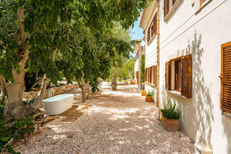 Garden behind the house