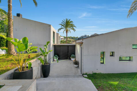 Entrance area and path to the house