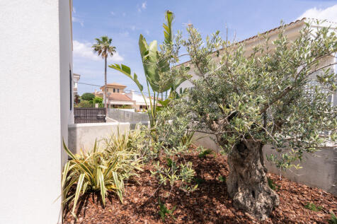 Mediterranean garden on the terrace by the master bedroom