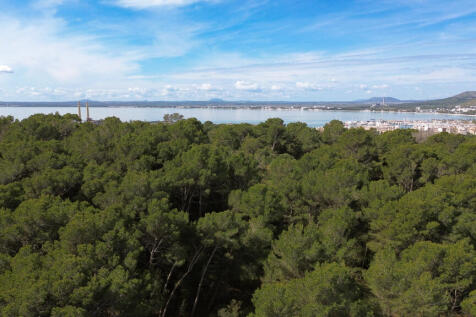 View towards the bay of Alcudia