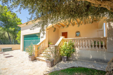 Eingangsbereich vor dem Haus mit Terrasse und Olivenbaum