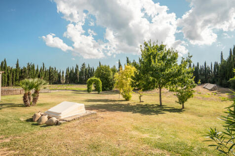 Blick in den hinteren Teil des Gartens mit Photovoltaikanlage