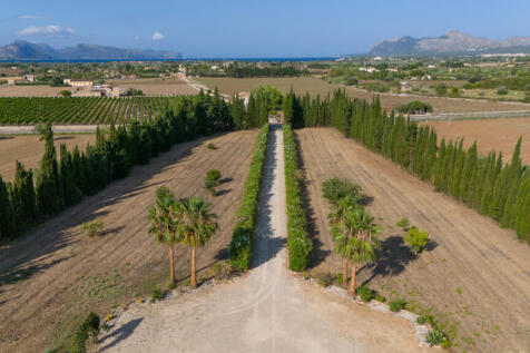 Blick vom Haus in in die Einfahrt