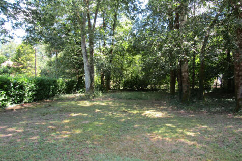 Back garden