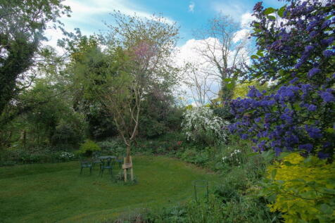Property Image 26