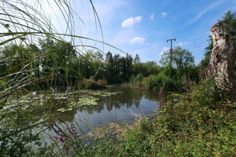 Property Image 34