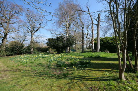 Property Image 35