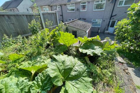 Vegetable patch