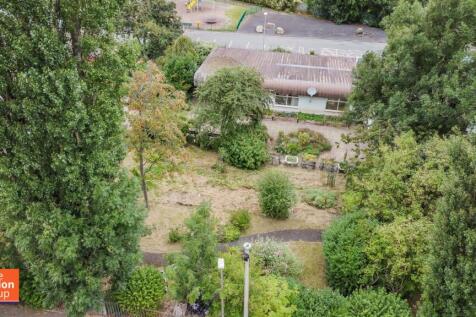 DJI_0644.jpg