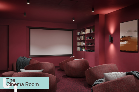 The cinema room