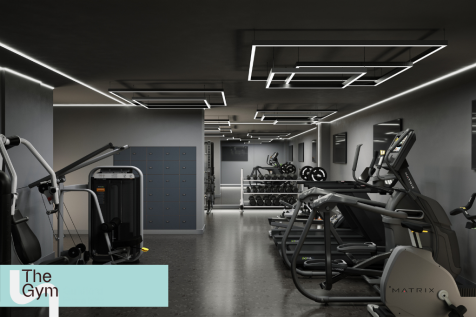 The gym