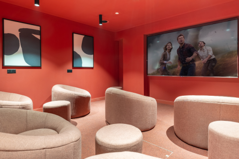 The cinema room
