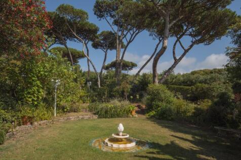 Property Image 63
