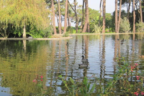Property Image 64