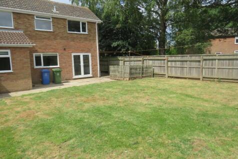 Rear Garden (2)
