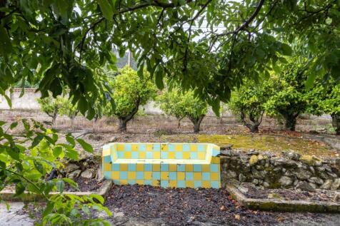 Property Image 34