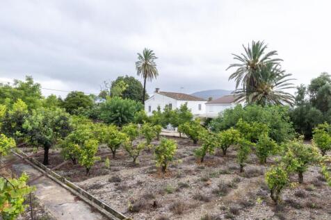 Property Image 37