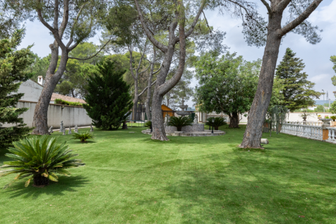 Property Image 56