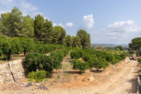 Property Image 22