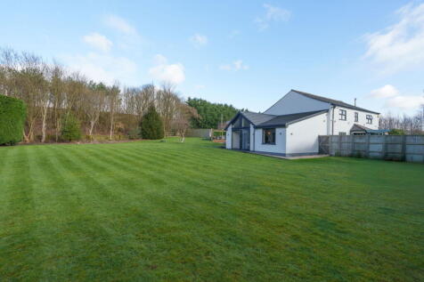 Property Image 54