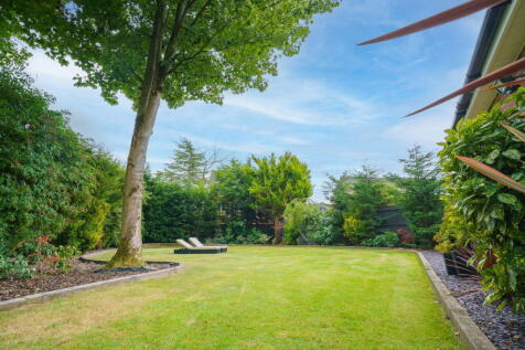 Property Image 54