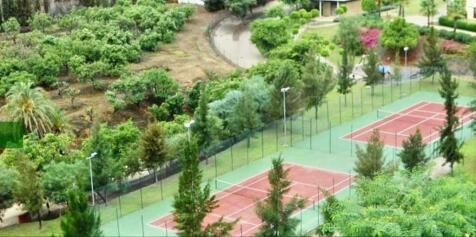 Property Image 33