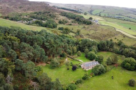 DJI_0891 2.JPG