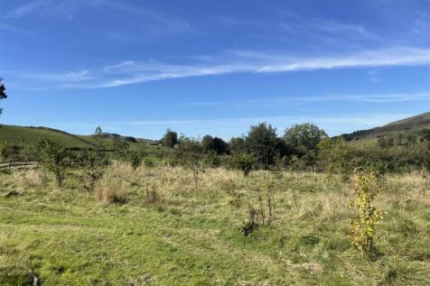 image14.jpeg