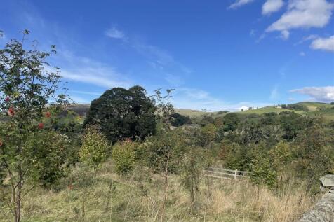image22.jpeg
