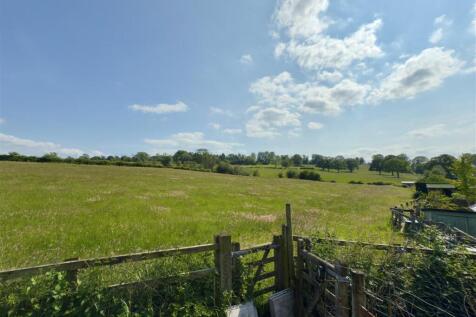 Field View.jpg