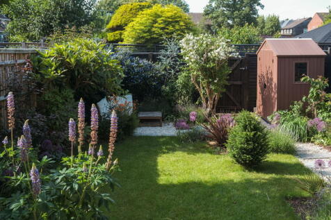 Property Image 13
