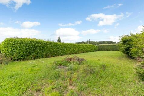 Additional garden space enclosed by mature hedging