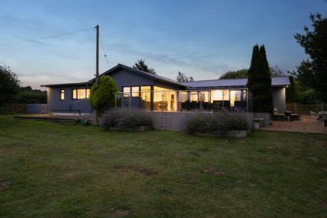 Rear garden at dusk